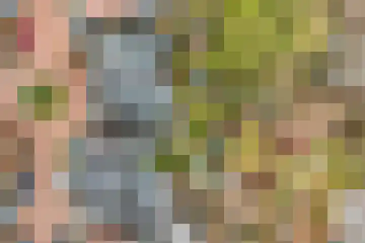 Julianahof 13 Zeist thumbnail 37