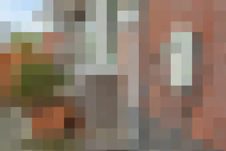 Julianahof 13 Zeist thumbnail 39