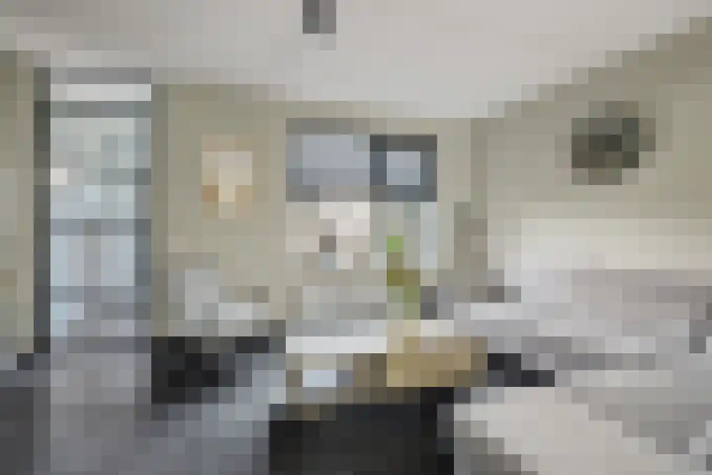 Julianahof 3 Waarde thumbnail 11