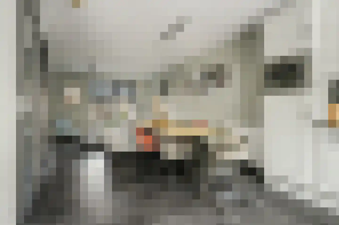 Julianahof 3 Waarde thumbnail 12
