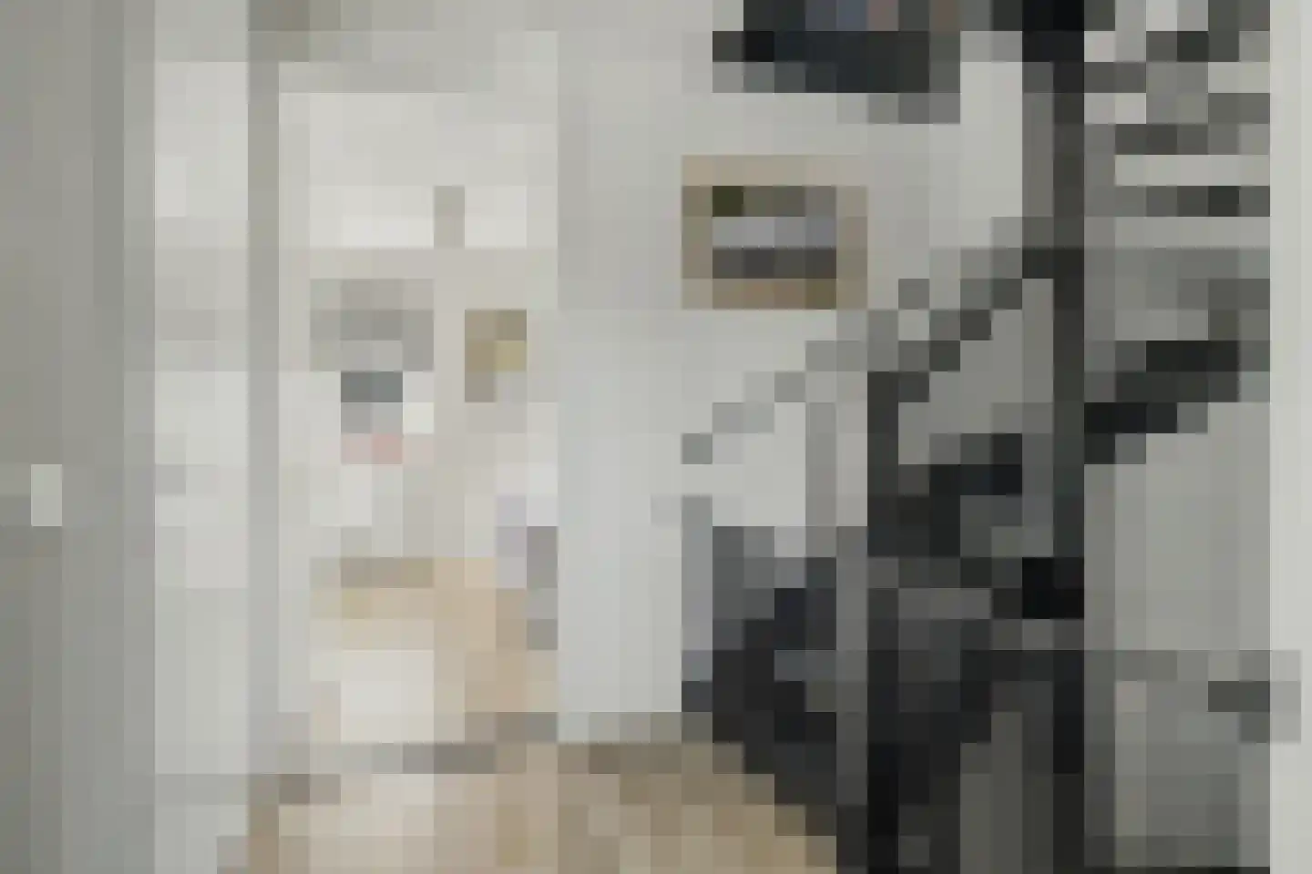 Julianahof 3 Waarde thumbnail 18