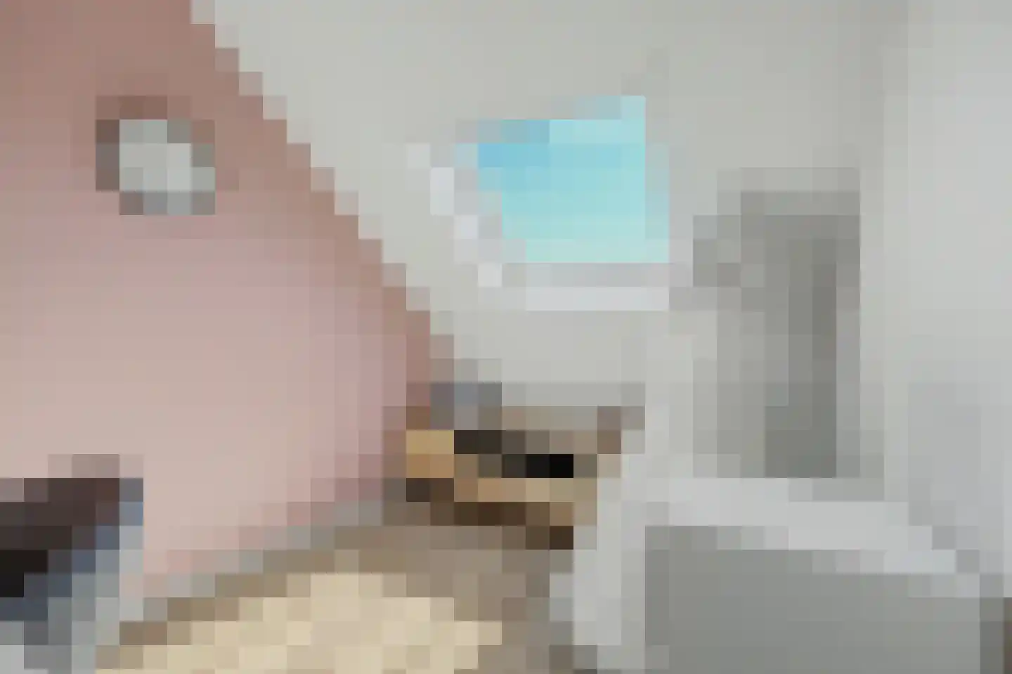 Julianahof 3 Waarde thumbnail 34