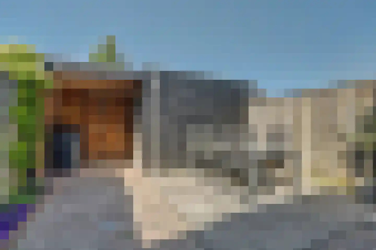 Julianahof 3 Waarde thumbnail 38