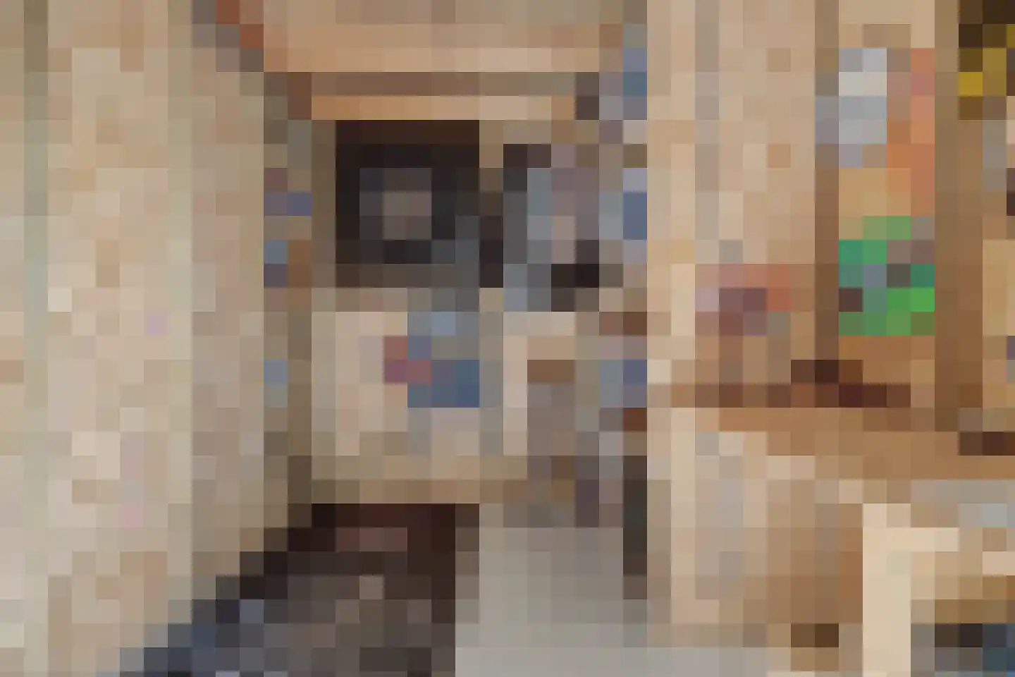 Julianahof 3 Waarde thumbnail 39