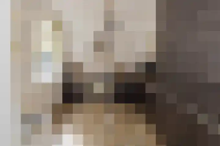 Julianakade 46 IJmuiden thumbnail 11