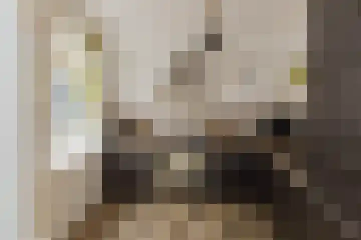 Julianakade 46 IJmuiden thumbnail 12