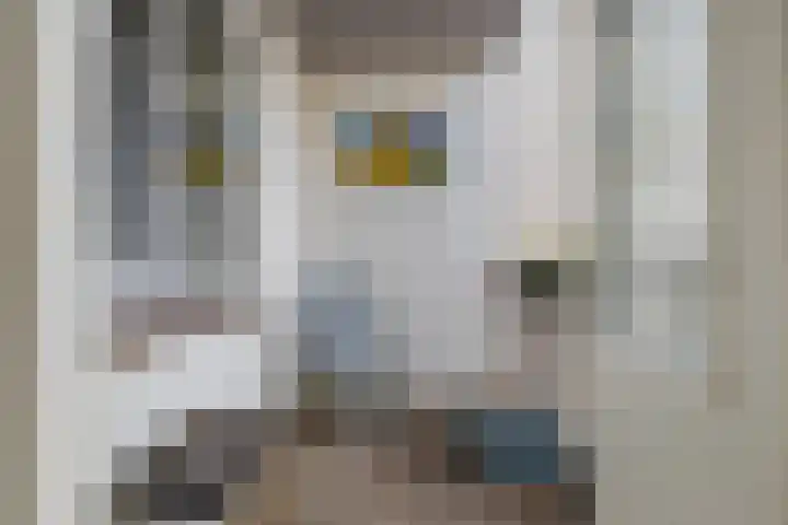 Julianakade 46 IJmuiden thumbnail 14
