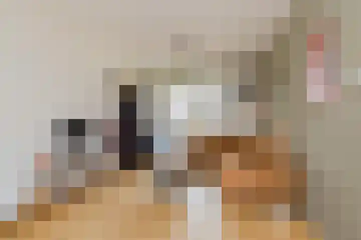 Julianakade 46 IJmuiden thumbnail 21
