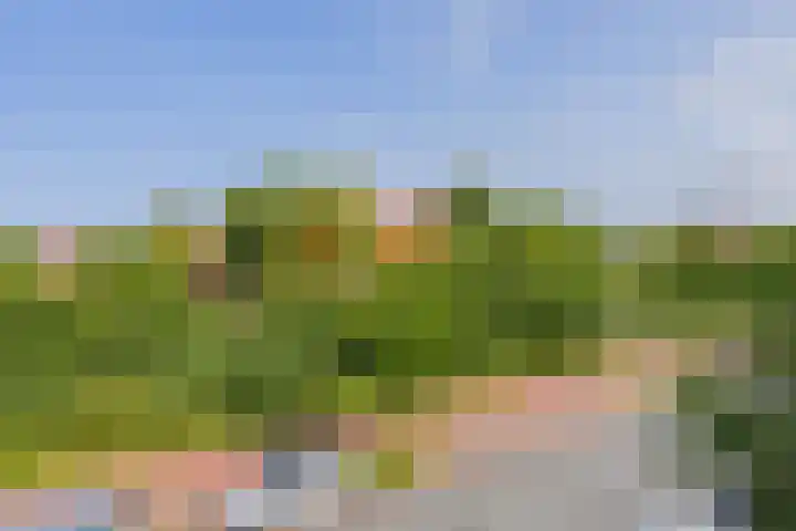 Julianakade 46 IJmuiden thumbnail 27