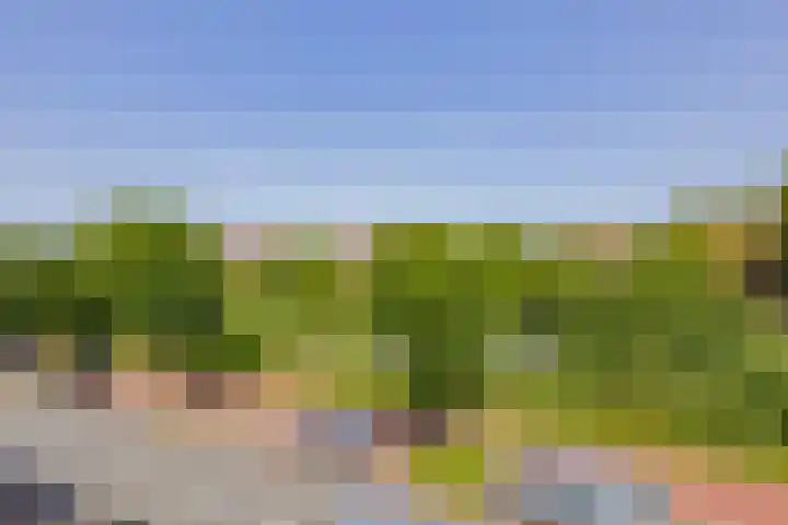 Julianakade 46 IJmuiden thumbnail 28