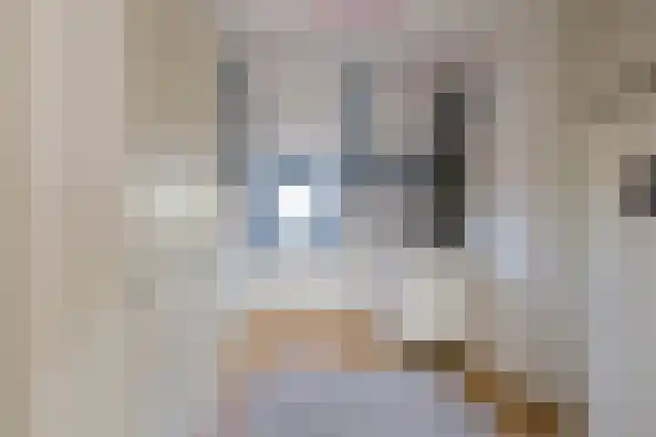 Julianakade 46 IJmuiden thumbnail 31