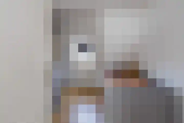 Julianakade 46 IJmuiden thumbnail 33