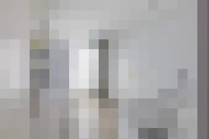 Julianakade 46 IJmuiden thumbnail 35