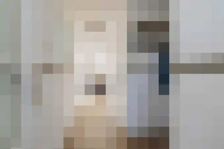 Julianakade 46 IJmuiden thumbnail 9
