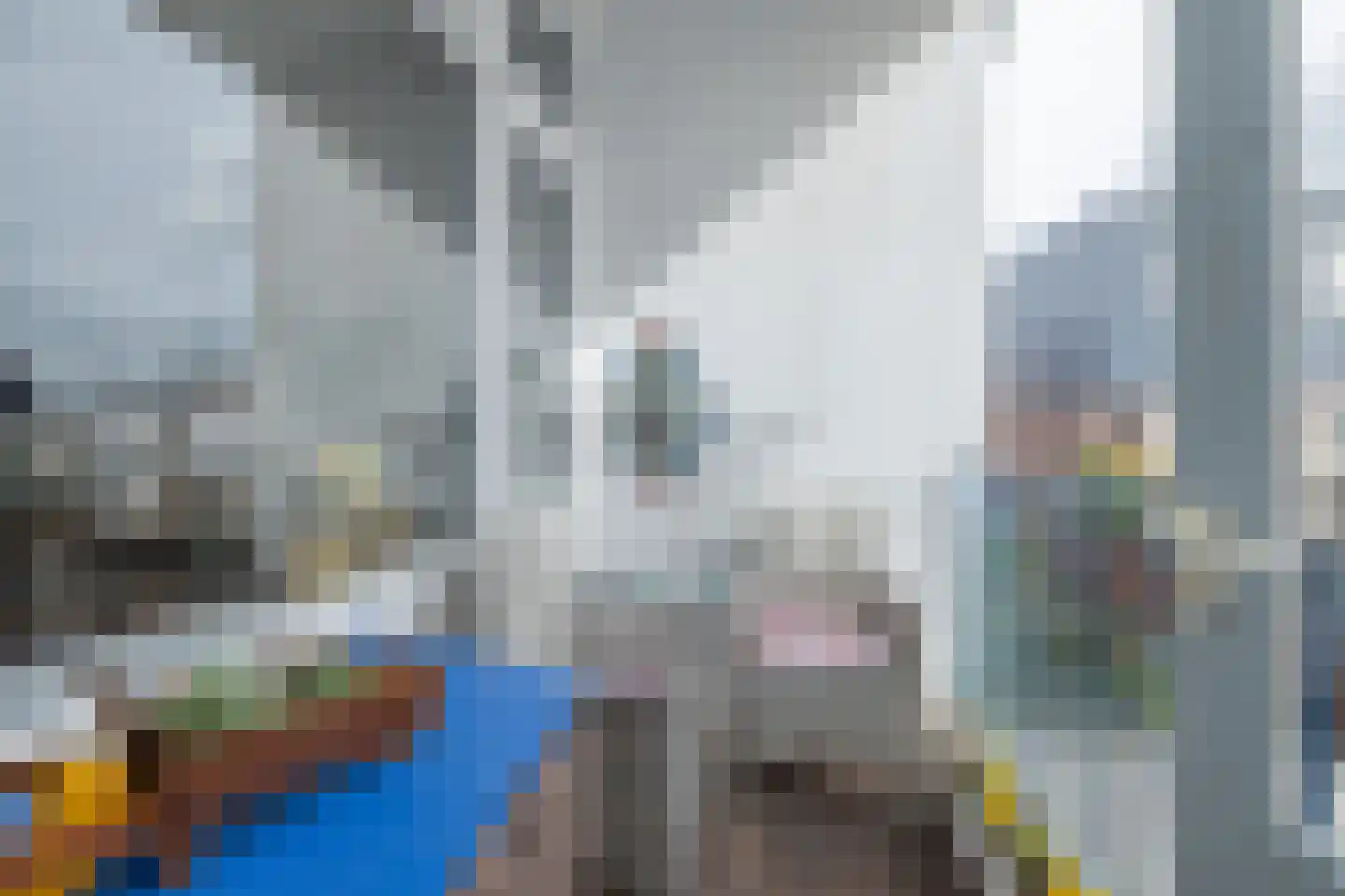 Julianakade 50 IJmuiden thumbnail 10