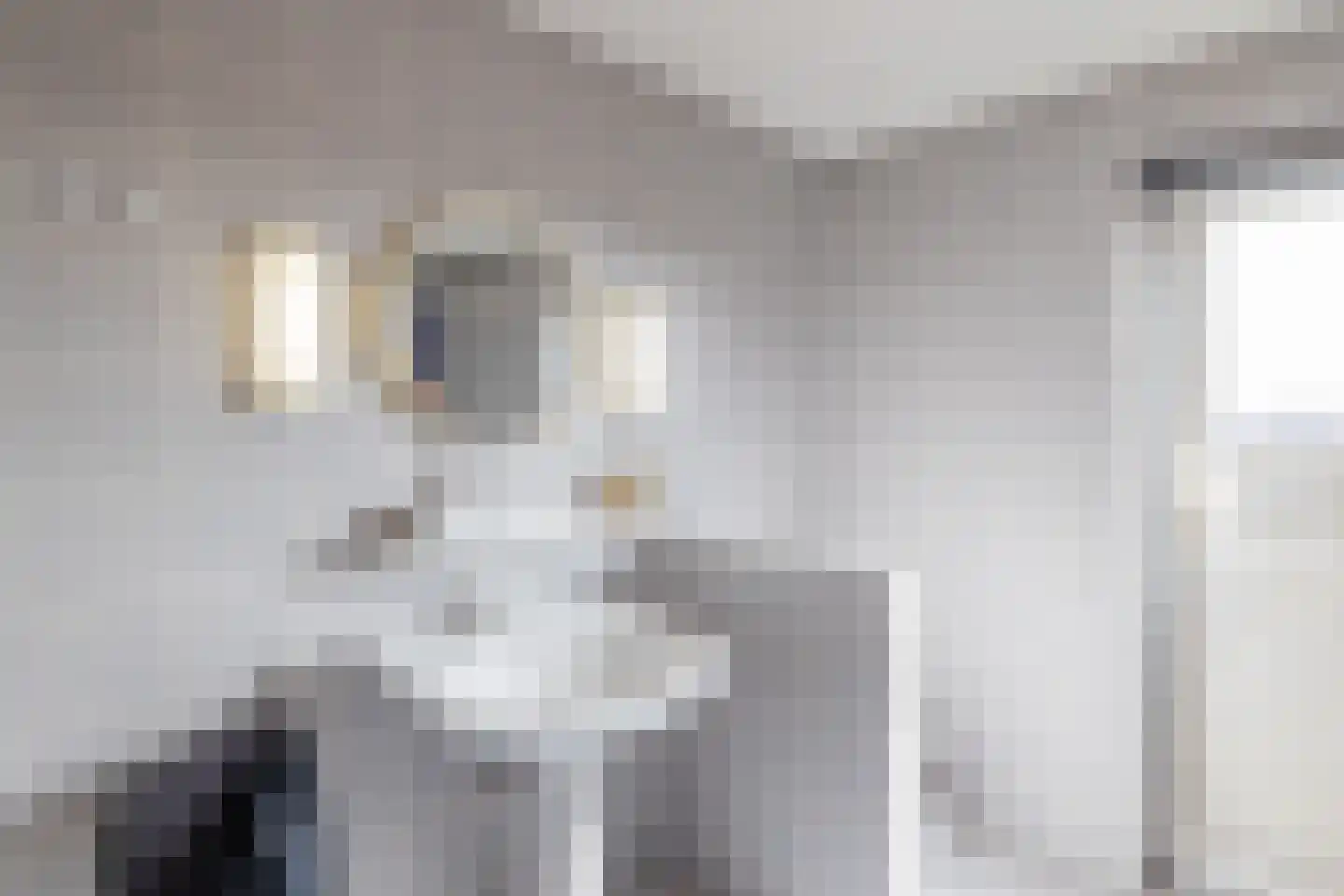 Julianakade 50 IJmuiden thumbnail 18