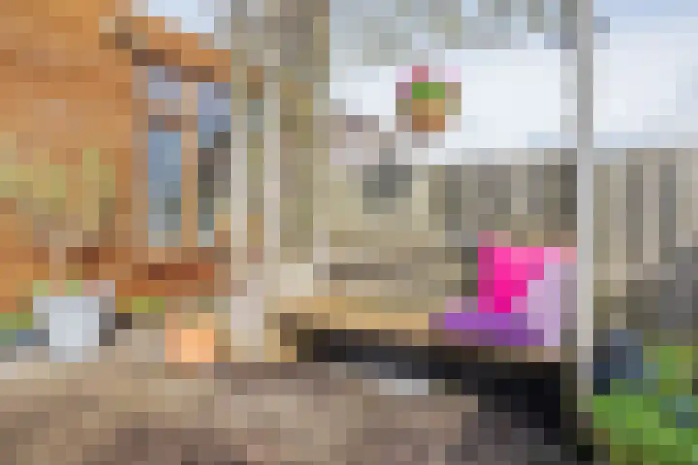 Julianakade 50 IJmuiden thumbnail 20
