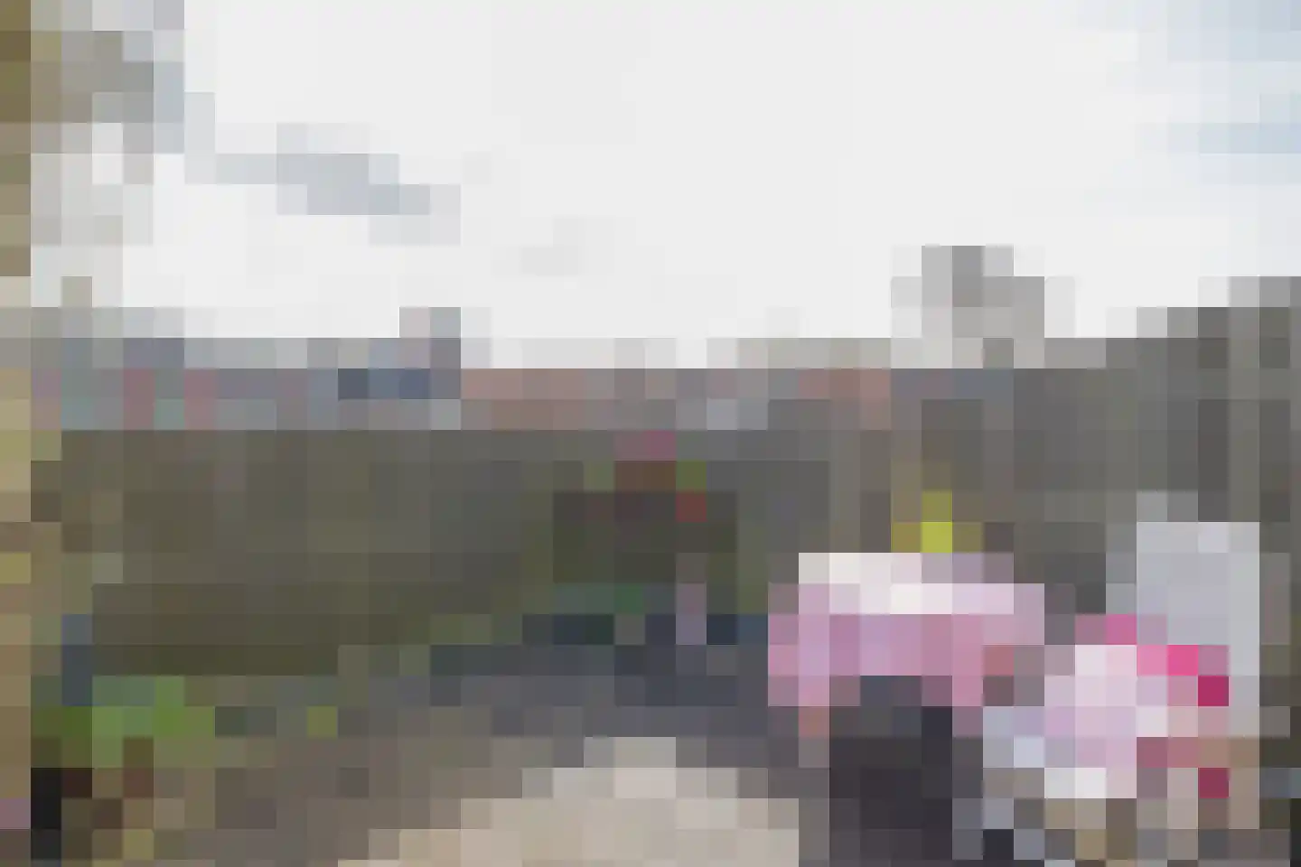 Julianakade 50 IJmuiden thumbnail 5