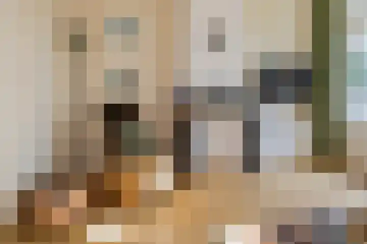 Julianakade 86 IJmuiden thumbnail 21