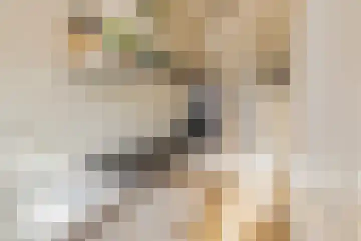 Julianakade 86 IJmuiden thumbnail 30