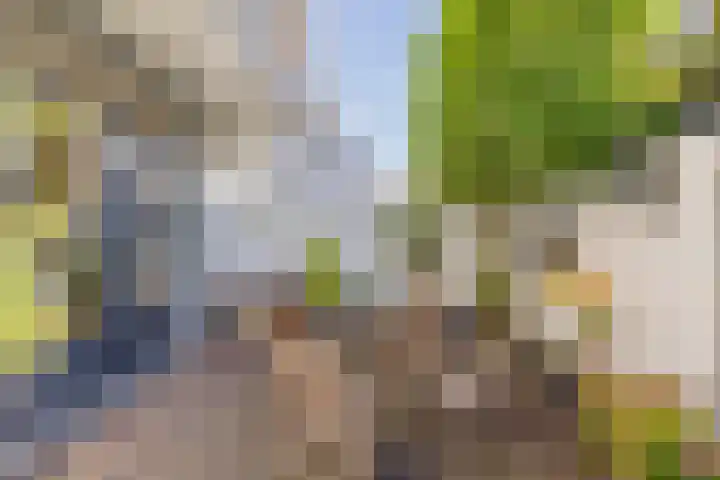 Julianakade 86 IJmuiden thumbnail 31
