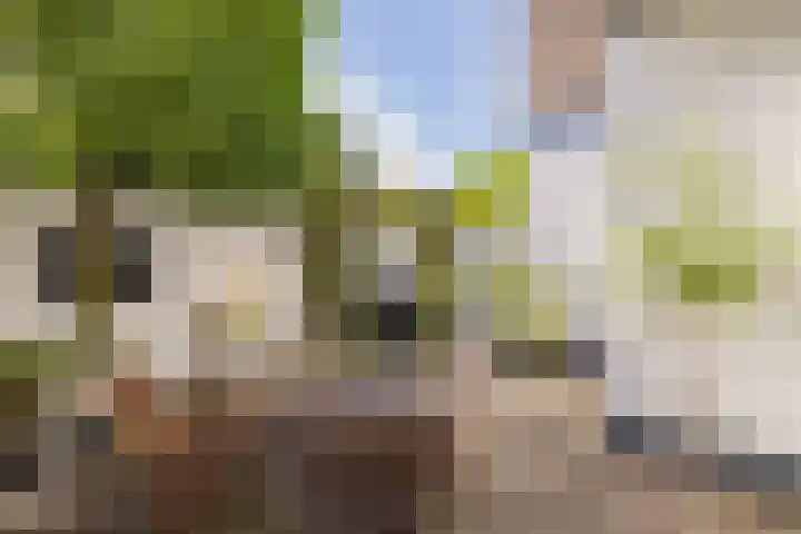 Julianakade 86 IJmuiden thumbnail 33
