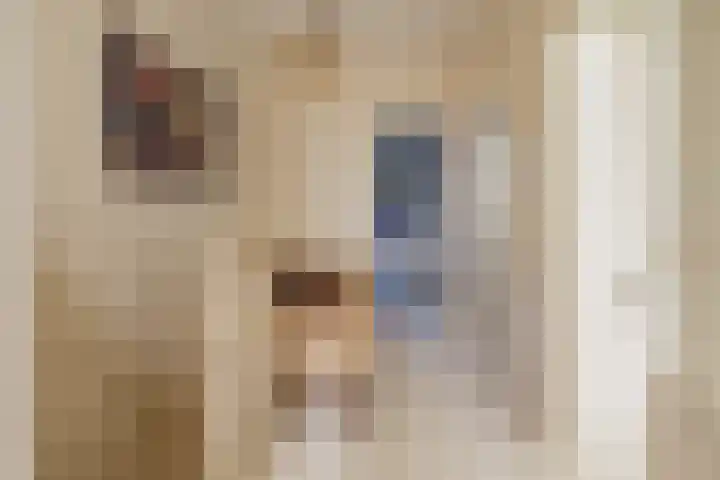 Julianakade 86 IJmuiden thumbnail 35