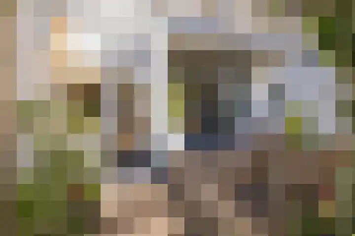Julianakade 86 IJmuiden thumbnail 4