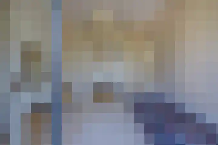 Julianakade 86 IJmuiden thumbnail 40