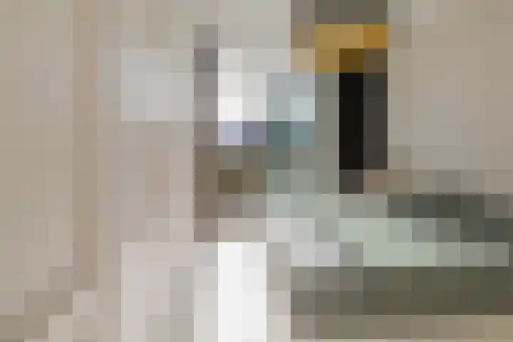 Julianakade 86 IJmuiden thumbnail 46