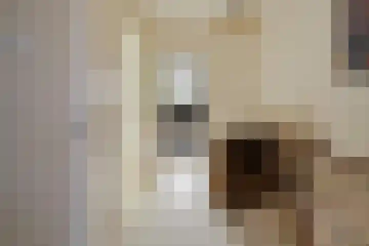 Julianakade 86 IJmuiden thumbnail 52