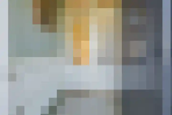 Julianakade 86 IJmuiden thumbnail 8