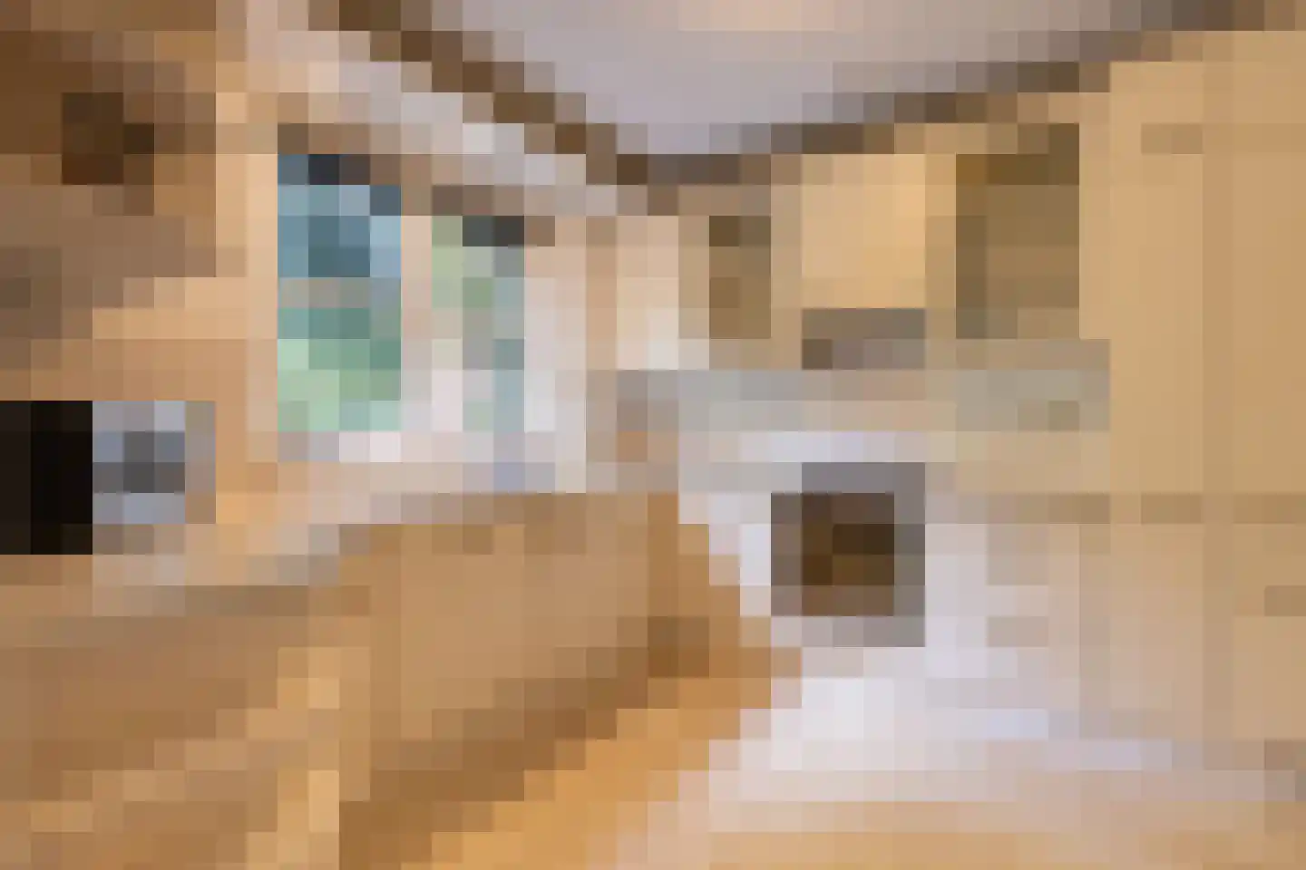 Julianalaan 1 0001 Baarn thumbnail 15