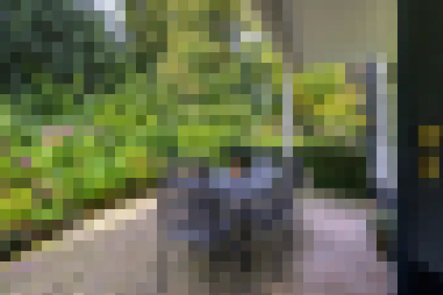 Julianalaan 1 0001 Baarn thumbnail 19