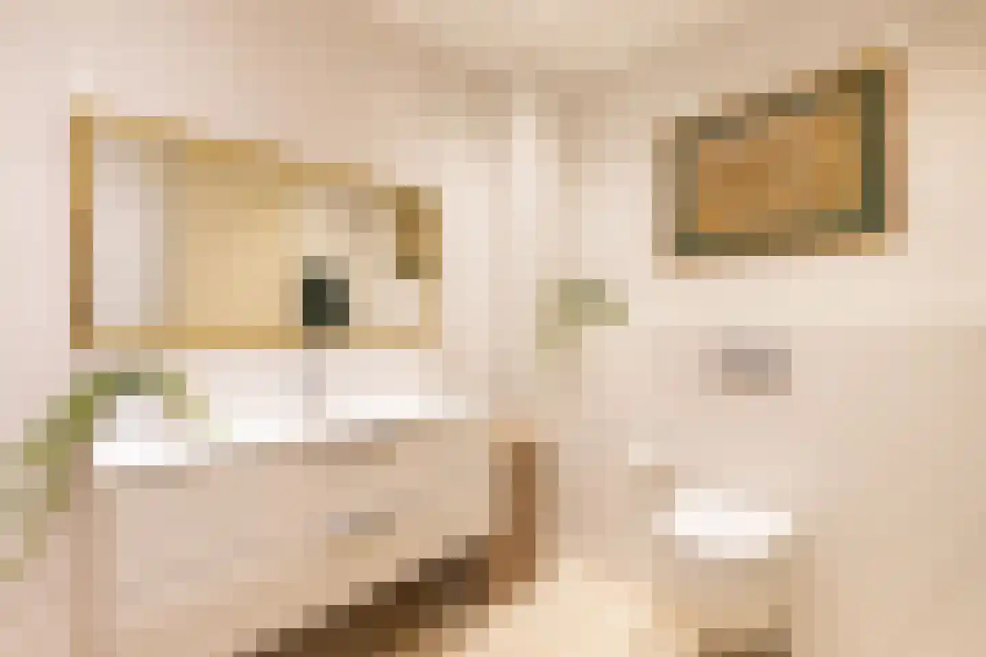 Julianalaan 1 0001 Baarn thumbnail 24