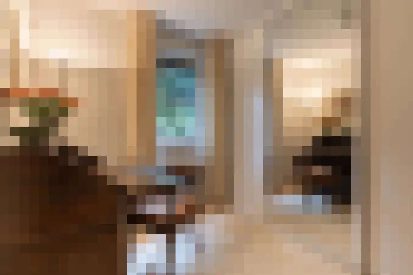 Julianalaan 1 0001 Baarn thumbnail 25