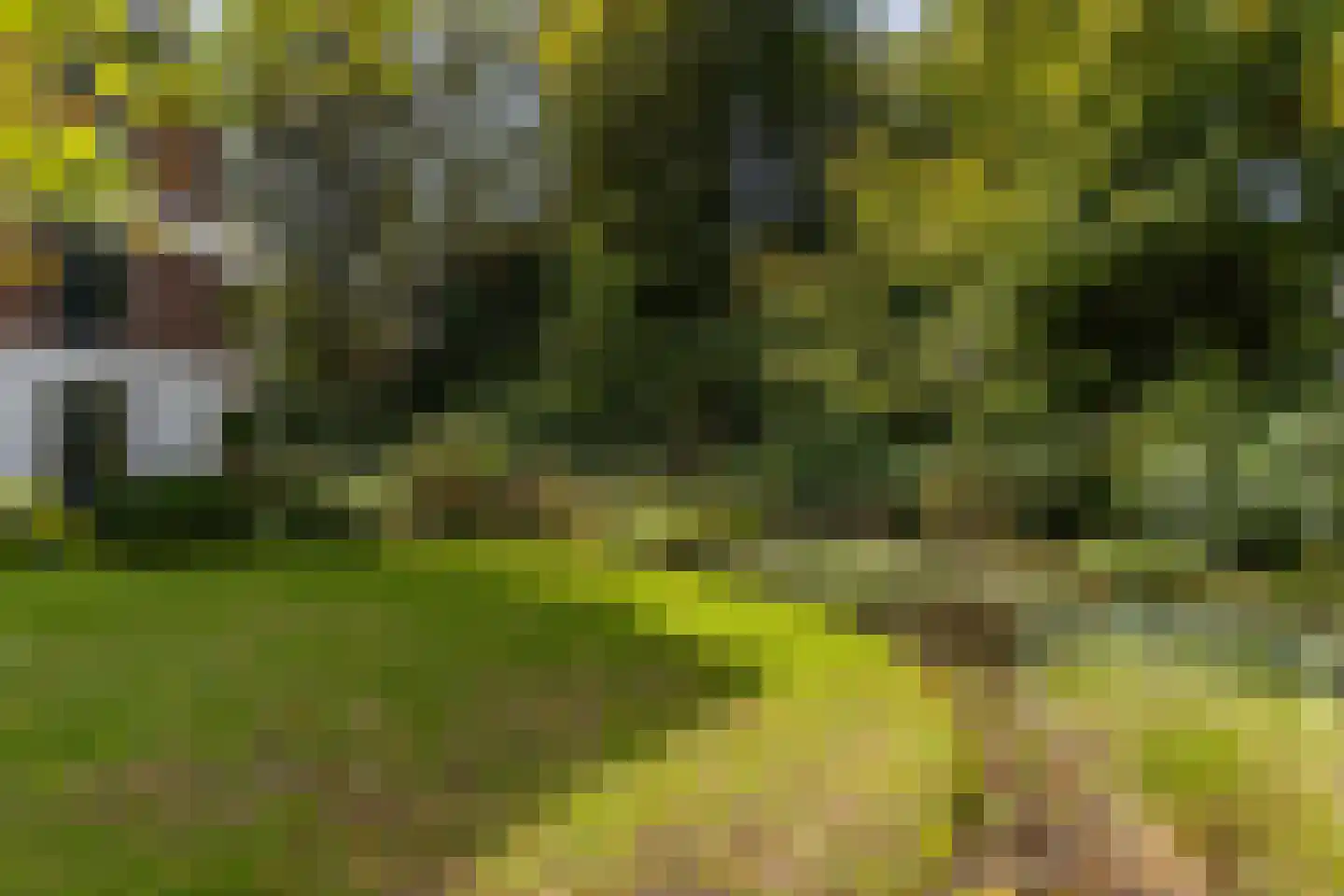 Julianalaan 1 0001 Baarn thumbnail 36