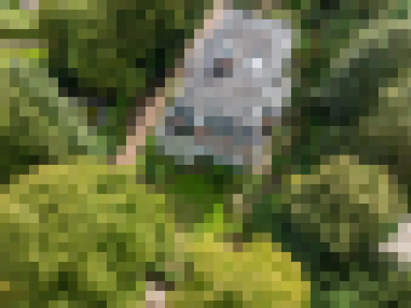 Julianalaan 1 0001 Baarn thumbnail 38