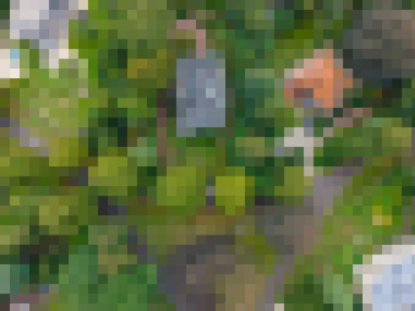 Julianalaan 1 0001 Baarn thumbnail 39