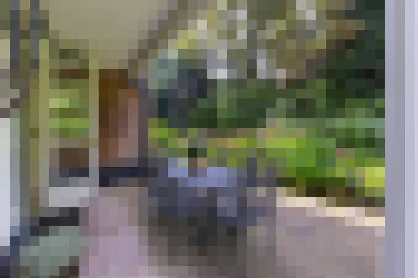 Julianalaan 1 0001 Baarn thumbnail 4