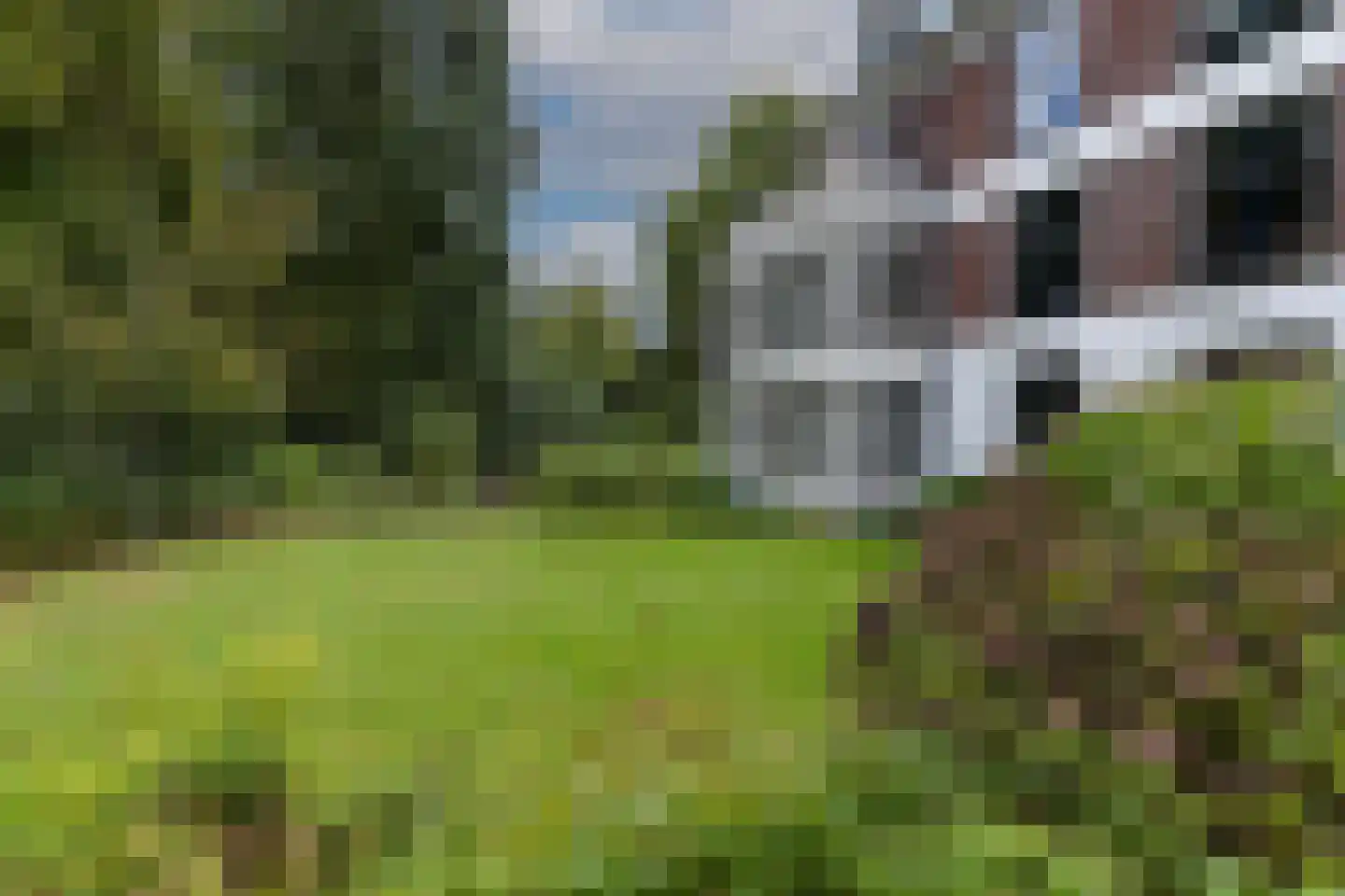 Julianalaan 1 0001 Baarn thumbnail 5