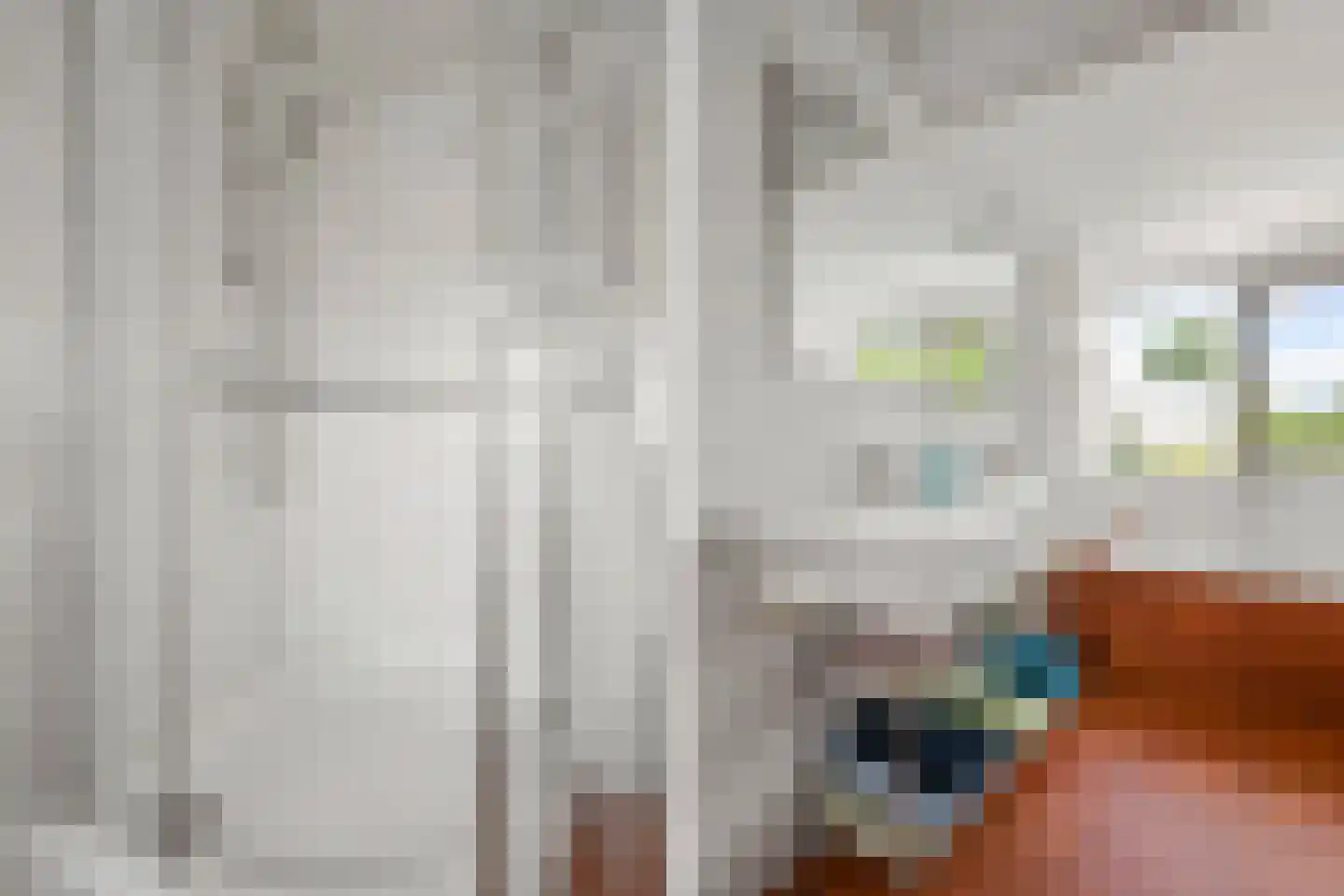 Julianalaan 1 a Hoevelaken thumbnail 22