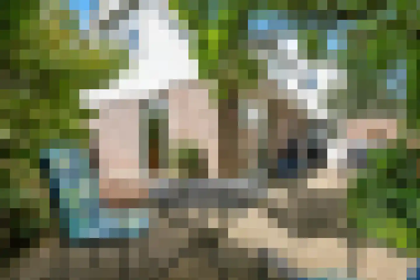 Julianalaan 1 a Hoevelaken thumbnail 26