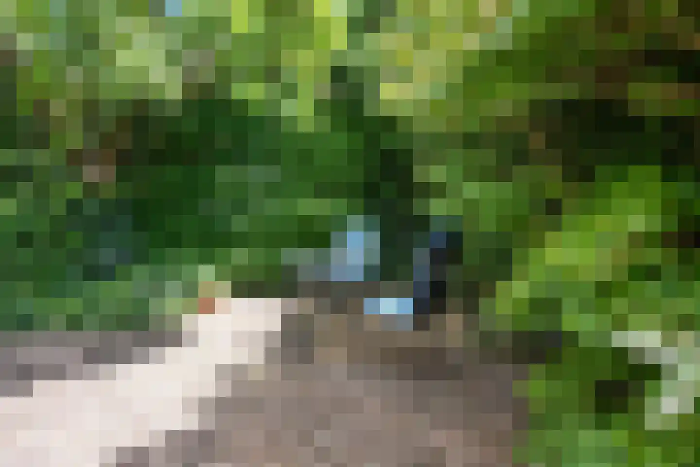 Julianalaan 1 a Hoevelaken thumbnail 27