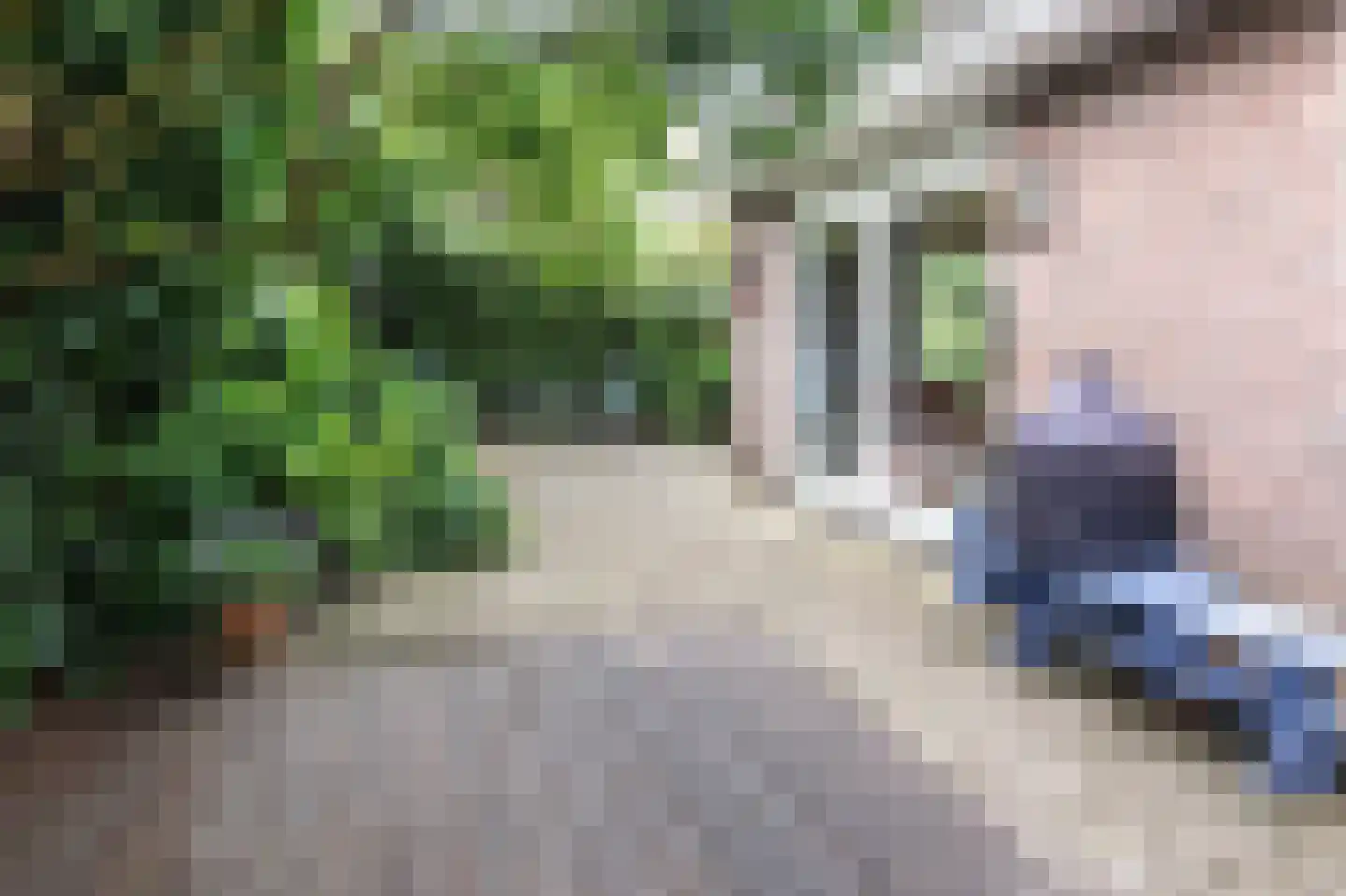 Julianalaan 1 a Hoevelaken thumbnail 28