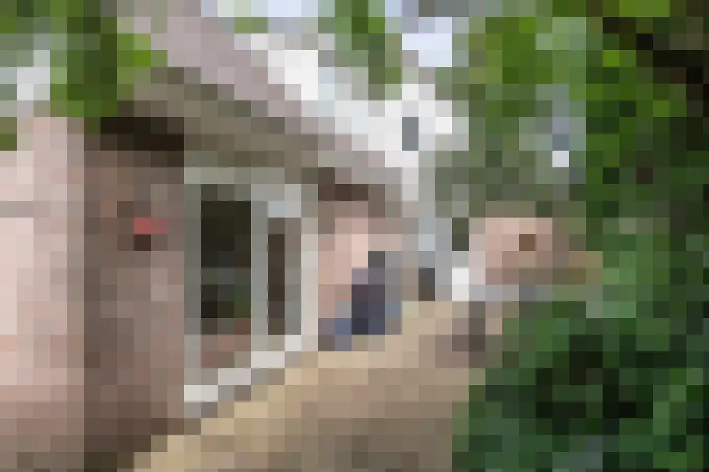 Julianalaan 1 a Hoevelaken thumbnail 29