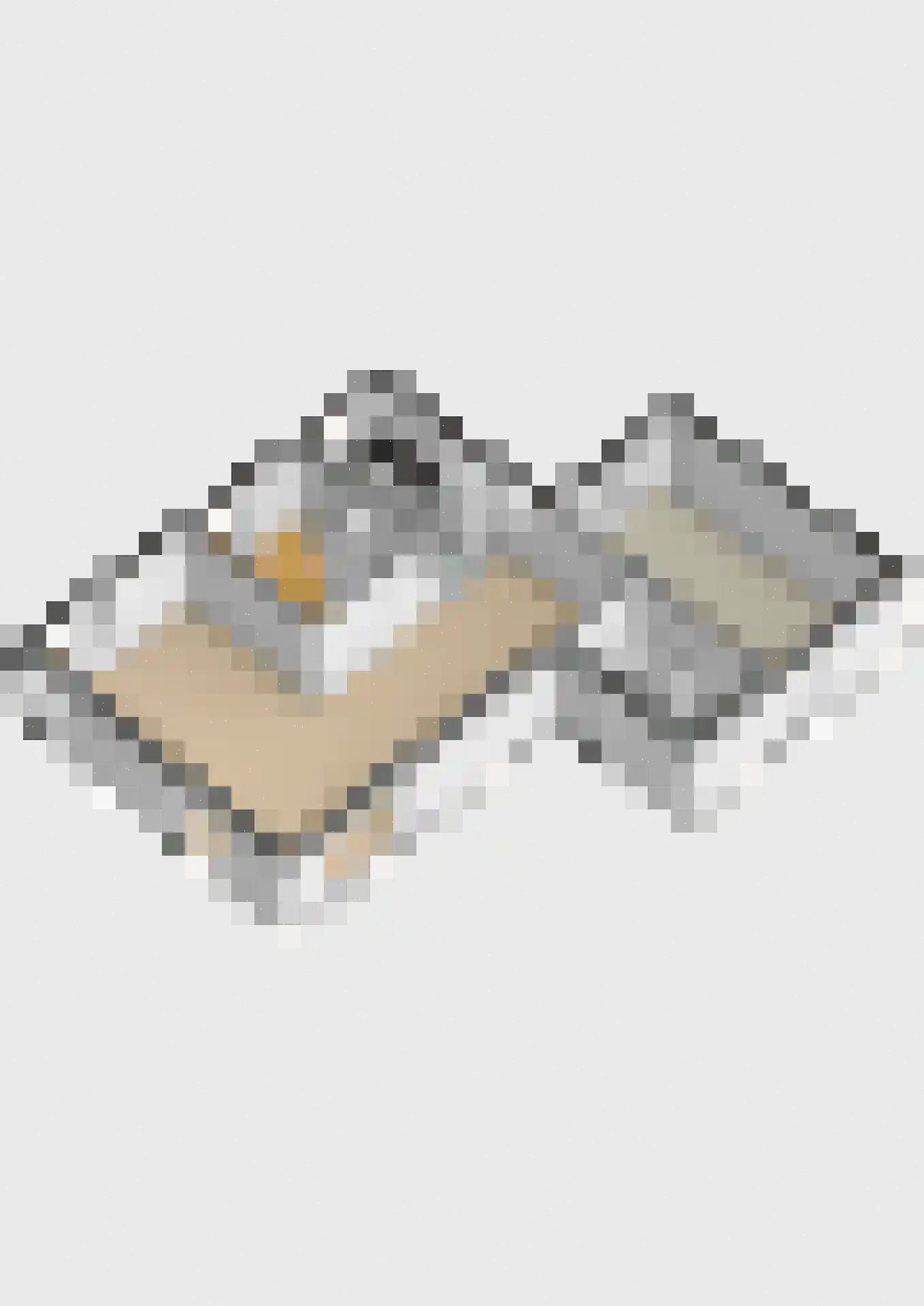 Julianalaan 1 a Hoevelaken thumbnail 39