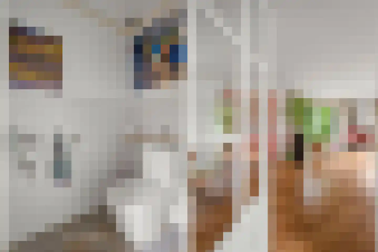 Julianalaan 1 a Hoevelaken thumbnail 6