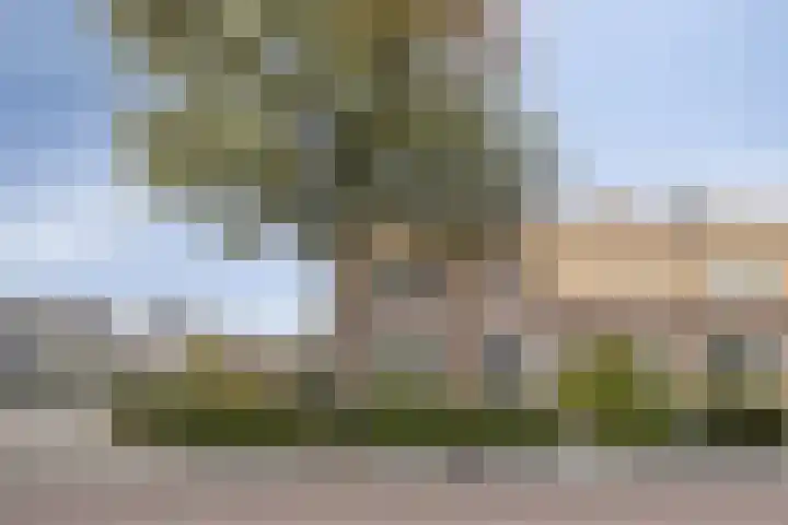 Julianalaan 1 Dodewaard