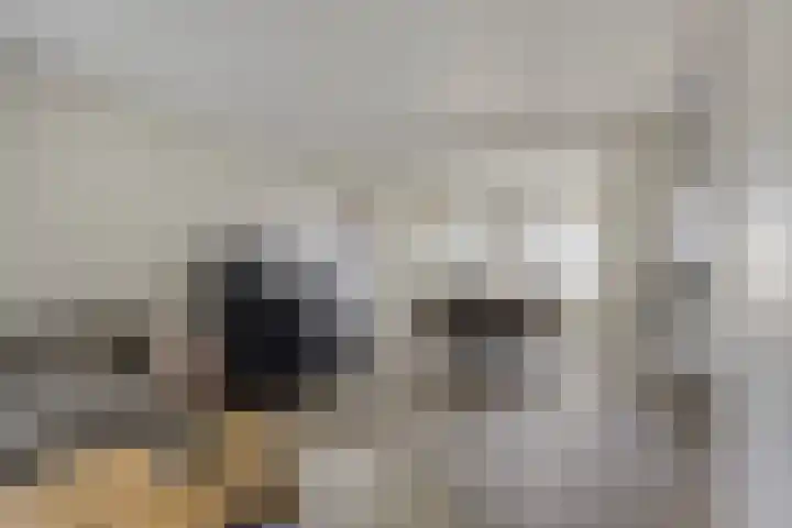 Julianalaan 1 Dodewaard thumbnail 11